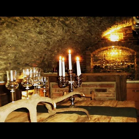 Triglerschlossl Appartement Rauris